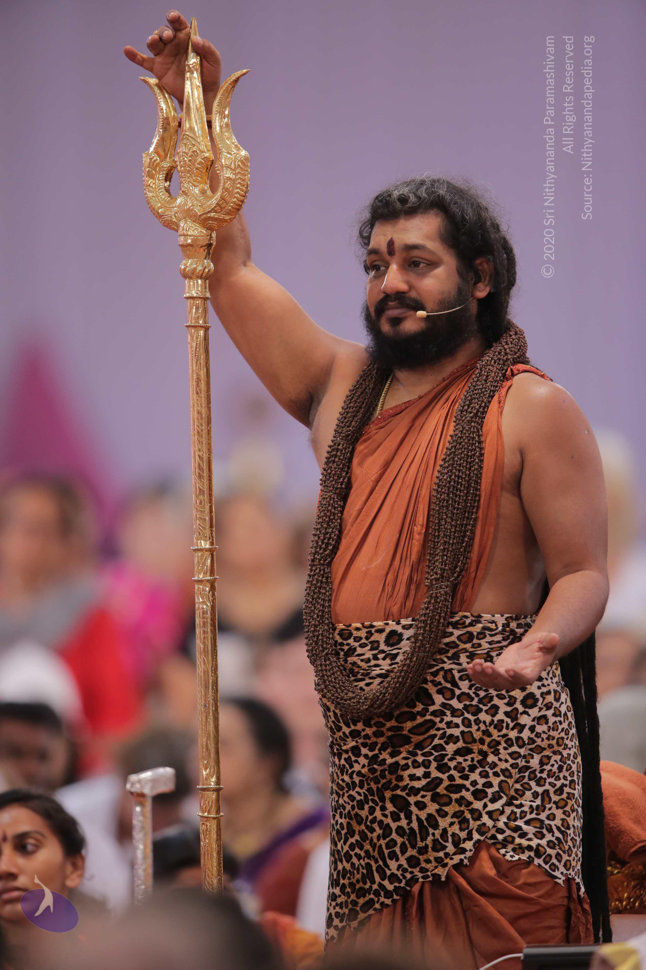 20161204_Photo_1007_G28A3855_CMP_WM